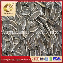 Hot Sale Flavored Roasted Spiced Sunflower Seeds 2020 New Crop